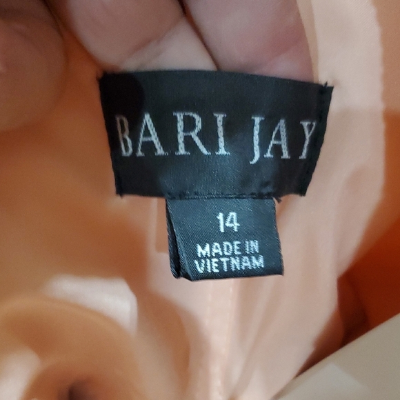 Bari Jay Pink Strapless Pleated Bust Sheer Maxi Gown - Picture 3 of 9